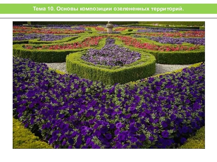 Тема 10. Основы композиции озелененных территорий.