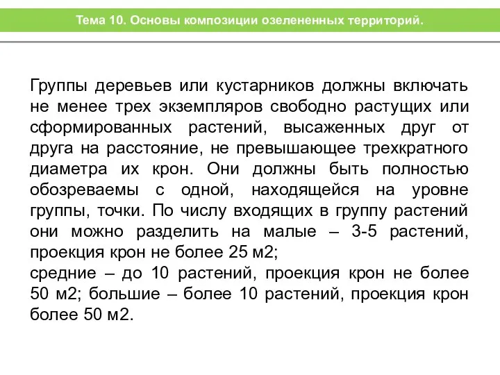 Группы деревьев или кустарников должны включать не менее трех экземпляров свободно