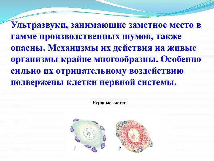 Ультразвуки, занимающие заметное место в гамме производственных шумов, также опасны. Механизмы