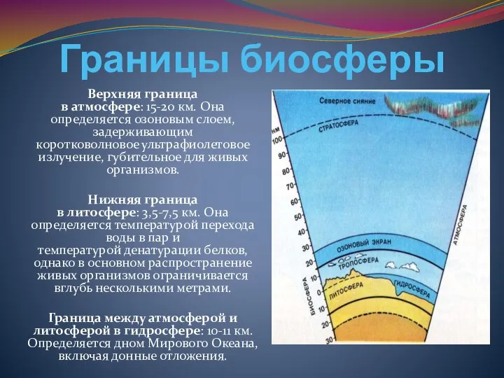 Границы биосферы Верхняя граница в атмосфере: 15-20 км. Она определяется озоновым