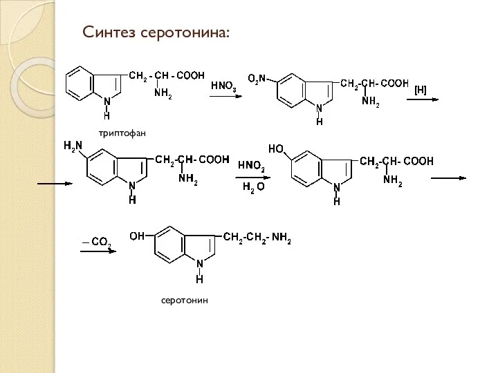 Синтез серотонина: триптофан серотонин