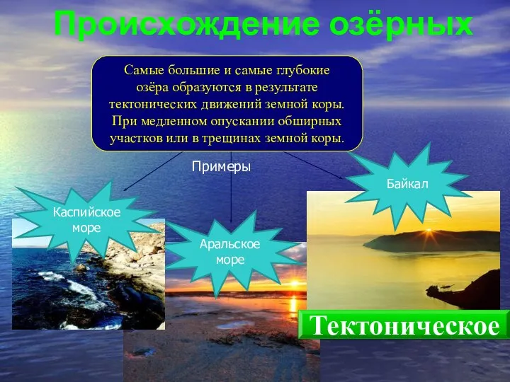 Происхождение озёрных котловин Аральское море Байкал Каспийское море Примеры Самые большие
