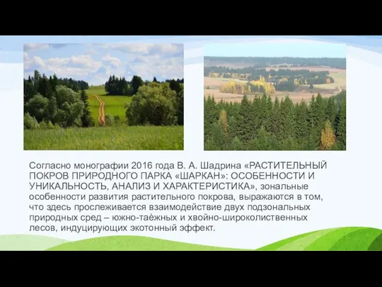 Согласно монографии 2016 года В. А. Шадрина «РАСТИТЕЛЬНЫЙ ПОКРОВ ПРИРОДНОГО ПАРКА