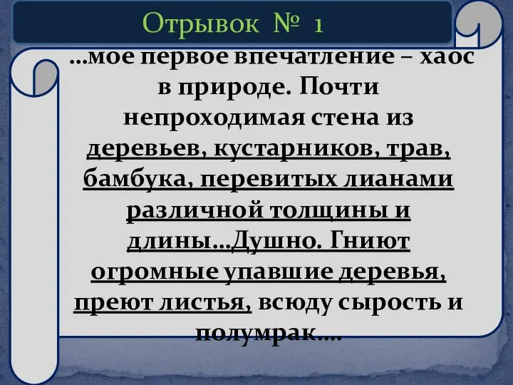 …мое первое впечатление – хаос в природе. Почти непроходимая стена из