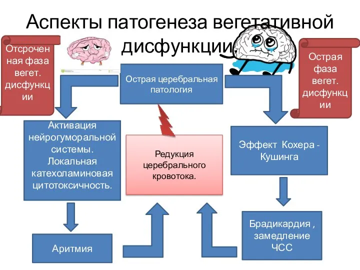 Острая церебральная патология Аспекты патогенеза вегетативной дисфункции. Активация нейрогуморальной системы.Локальная катехоламиновая