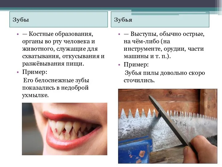 Зубы Зубья — Костные образования, органы во рту человека и животного,