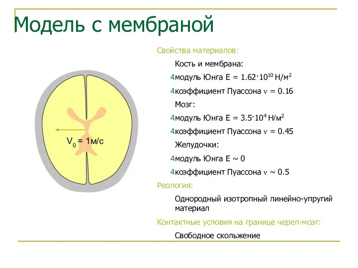 Модель с мембраной V0 = 1м/с Свойства материалов: Кость и мембрана: