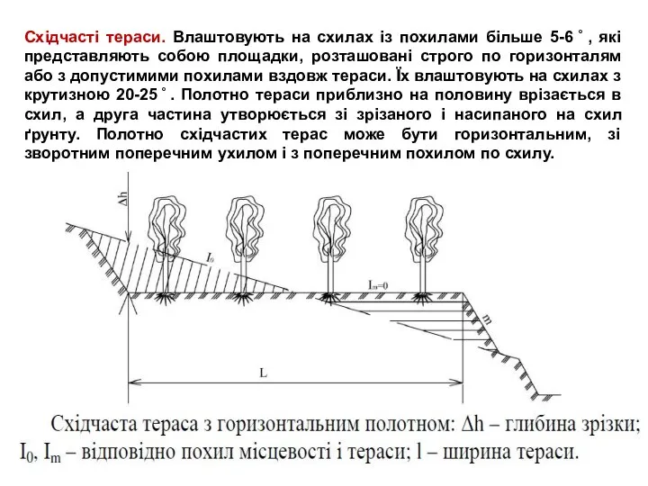 Східчасті тераси. Влаштовують на схилах із похилами більше 5-6 ̊ ,