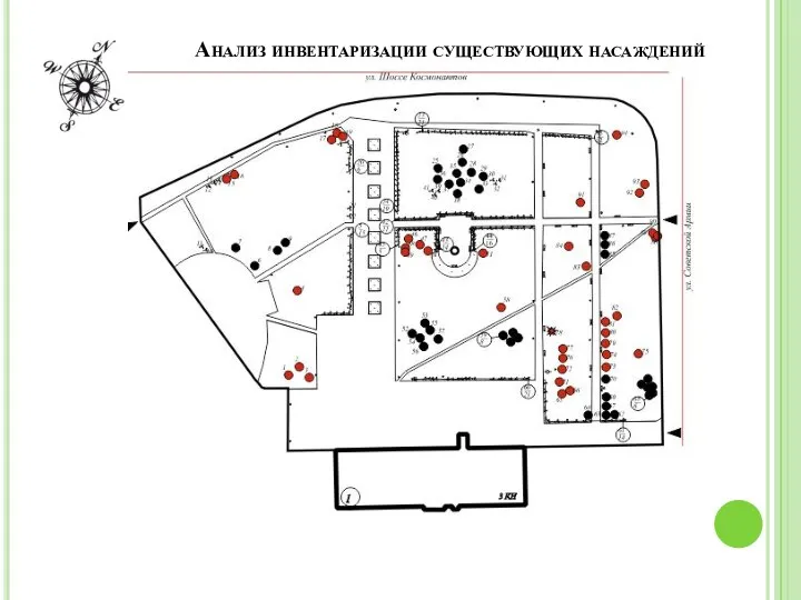 Анализ инвентаризации существующих насаждений Анализ инвентариз сущ. Насаждений, кол-во деревьев на
