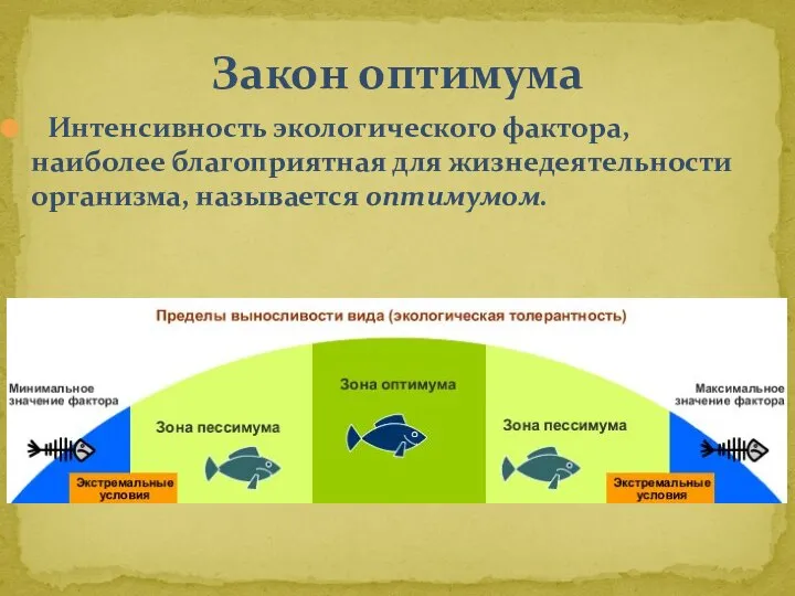 Интенсивность экологического фактора, наиболее благоприятная для жизнедеятельности организма, называется оптимумом. Закон оптимума