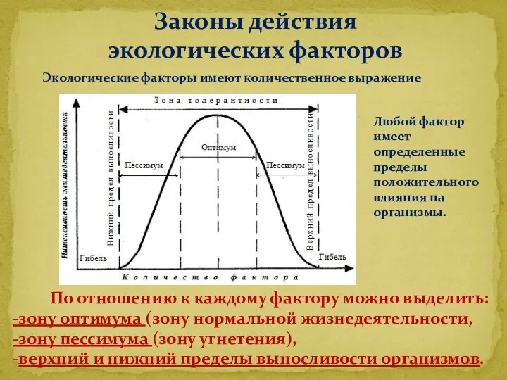 Экологические факторы имеют количественное выражение Любой фактор имеет определенные пределы положительного