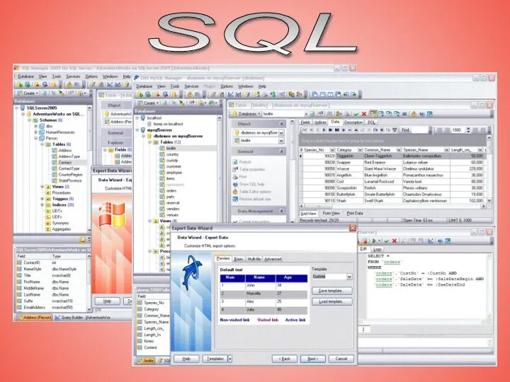 SQL