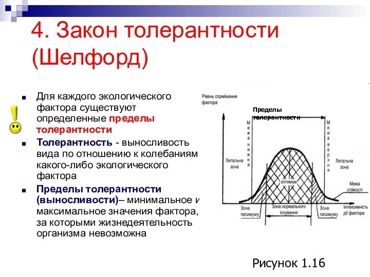 4. Закон толерантности (Шелфорд) Для каждого экологического фактора существуют определенные пределы