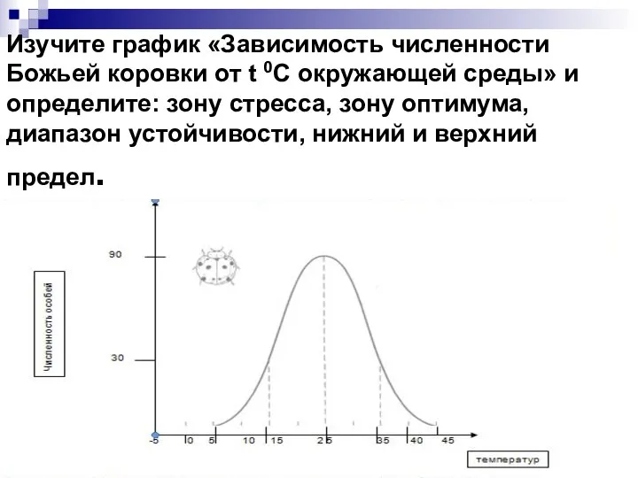 Изучите график «Зависимость численности Божьей коровки от t 0C окружающей среды»