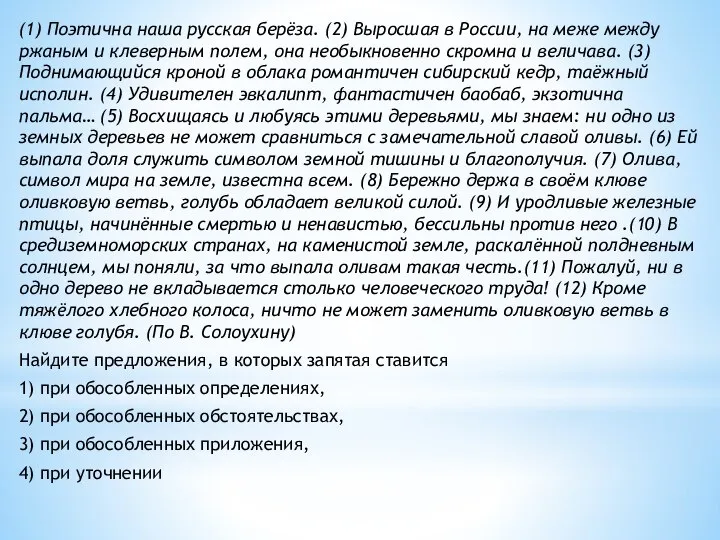 (1) Поэтична наша русская берёза. (2) Выросшая в России, на меже