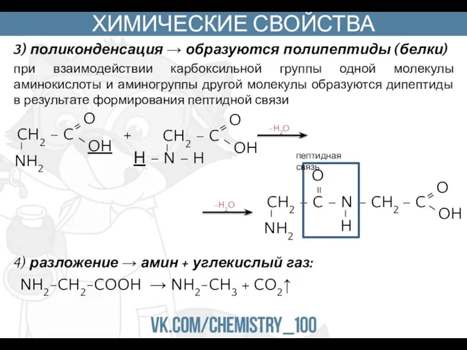 ХИМИЧЕСКИЕ СВОЙСТВА 3) поликонденсация → образуются полипептиды (белки) при взаимодействии карбоксильной