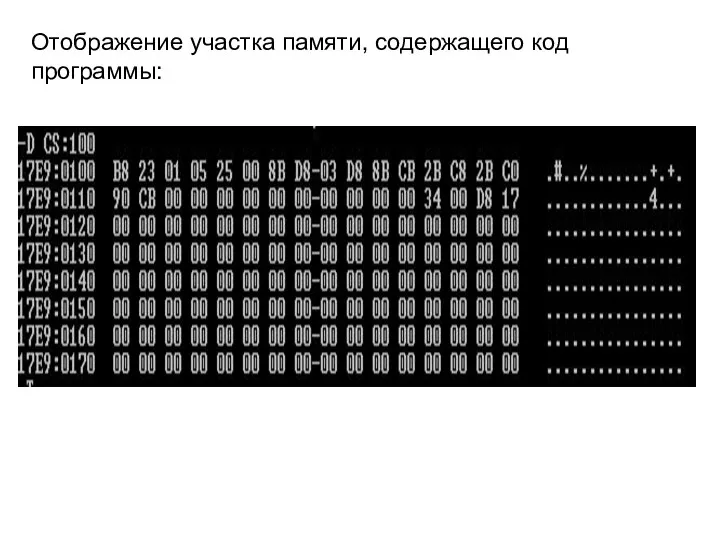 Отображение участка памяти, содержащего код программы: