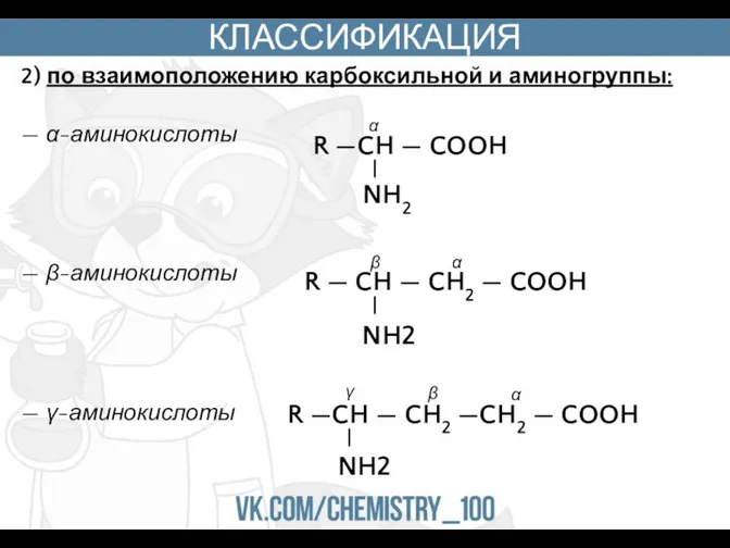 КЛАССИФИКАЦИЯ 2) по взаимоположению карбоксильной и аминогруппы: — α-аминокислоты — β-аминокислоты