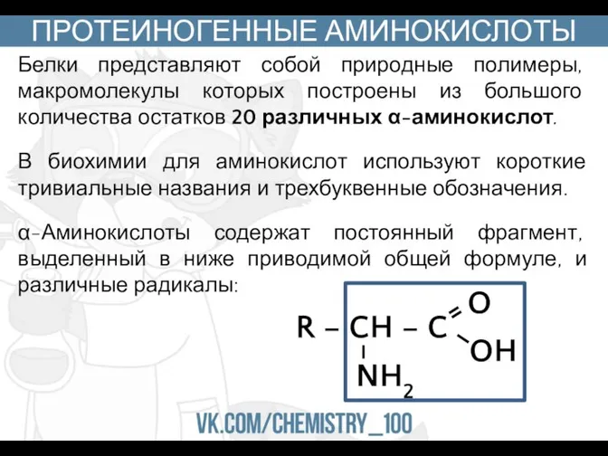 Белки представляют собой природные полимеры, макромолекулы которых построены из большого количества