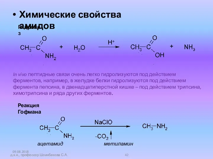 Химические свойства амидов 09.08.2018 д.х.н., профессор Шоинбекова С.А. Гидролиз In vivo