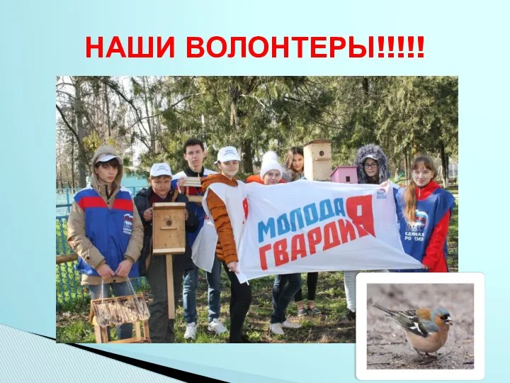 НАШИ ВОЛОНТЕРЫ!!!!!