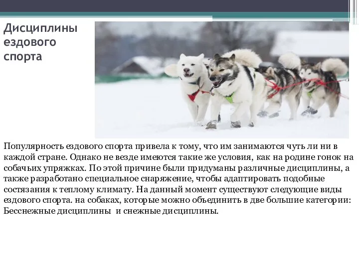 Дисциплины ездового спорта Популярность ездового спорта привела к тому, что им