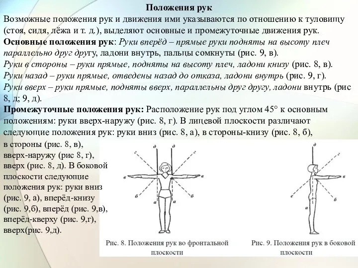 Положения рук Возможные положения рук и движения ими указываются по отношению