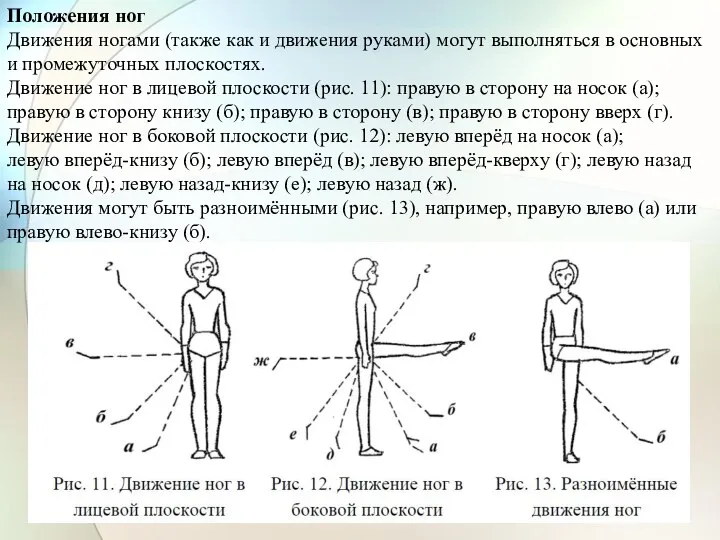 Положения ног Движения ногами (также как и движения руками) могут выполняться