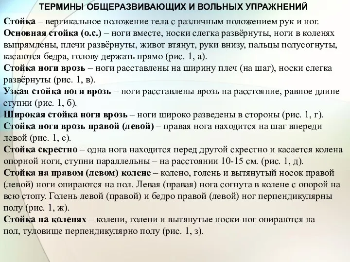 ТЕРМИНЫ ОБЩЕРАЗВИВАЮЩИХ И ВОЛЬНЫХ УПРАЖНЕНИЙ Стойка – вертикальное положение тела с