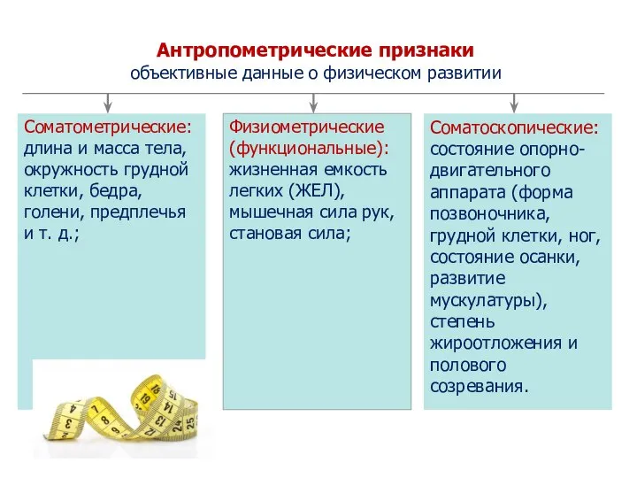 Соматоскопические: состояние опорно-двигательного аппарата (форма позвоночника, грудной клетки, ног, состояние осанки,