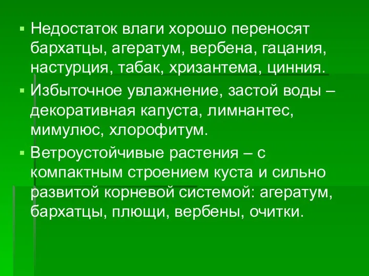 Недостаток влаги хорошо переносят бархатцы, агератум, вербена, гацания, настурция, табак, хризантема,