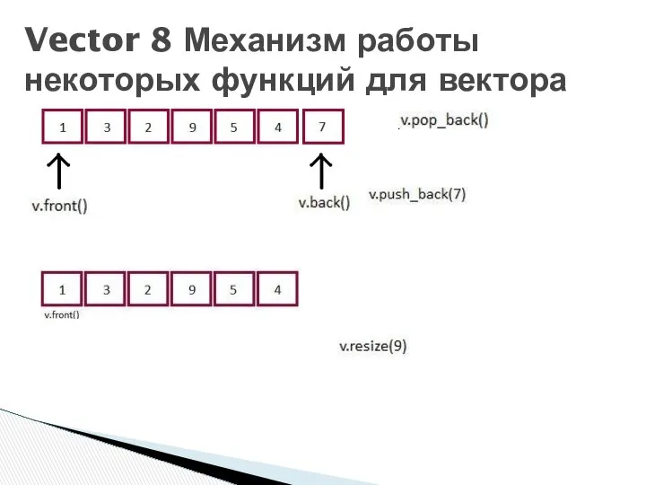 Vector 8 Механизм работы некоторых функций для вектора