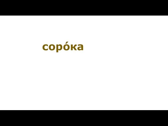 сорóка