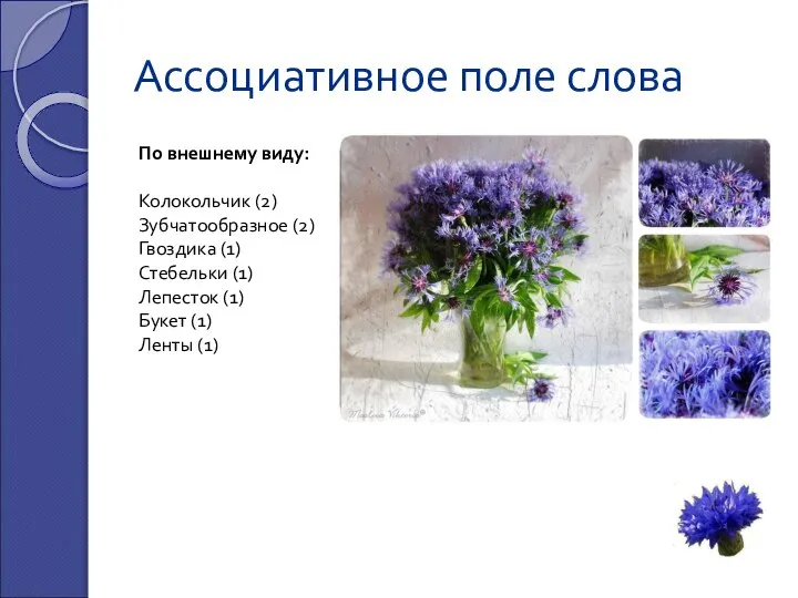 Ассоциативное поле слова По внешнему виду: Колокольчик (2) Зубчатообразное (2) Гвоздика