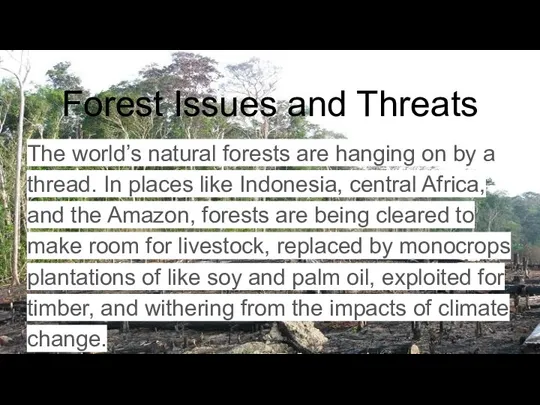 Forest Issues and Threats The world’s natural forests are hanging on