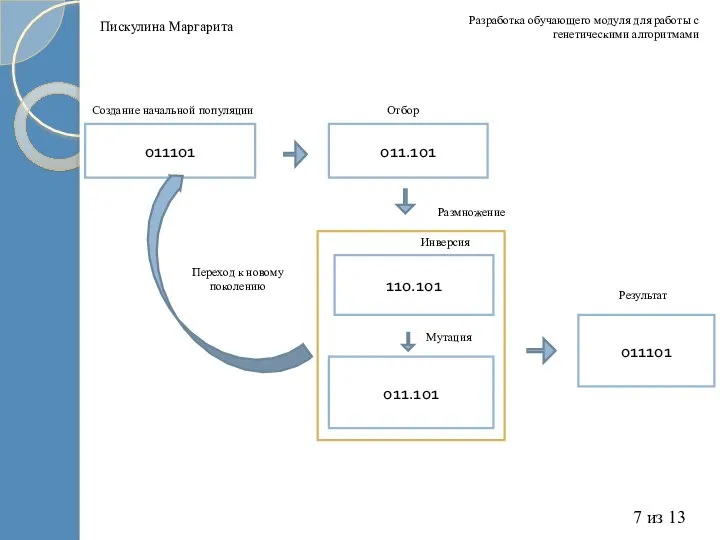 Разработка обучающего модуля для работы с генетическими алгоритмами 7 из 13 Пискулина Маргарита