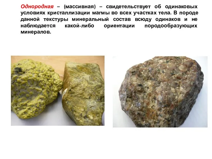 Однородная – (массивная) – свидетельствует об одинаковых условиях кристаллизации магмы во