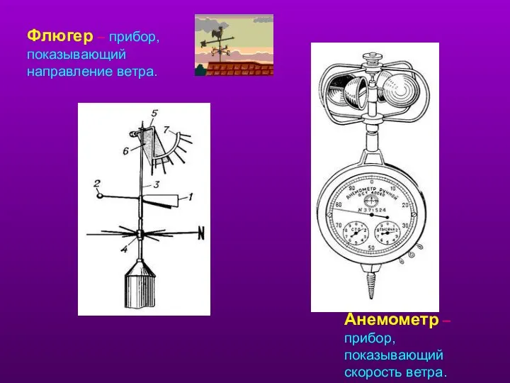 Флюгер – прибор, показывающий направление ветра. Анемометр – прибор, показывающий скорость ветра.