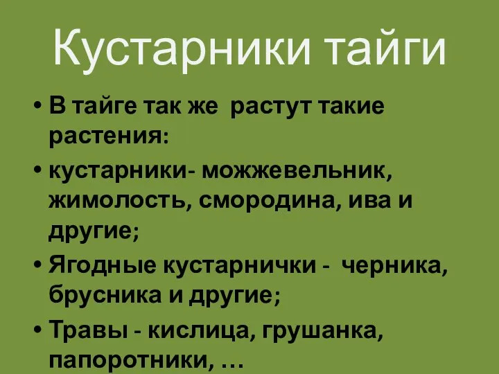 Кустарники тайги В тайге так же растут такие растения: кустарники- можжевельник,