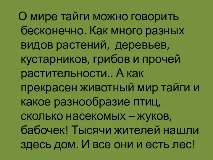 О мире тайги можно говорить бесконечно. Как много разных видов растений,