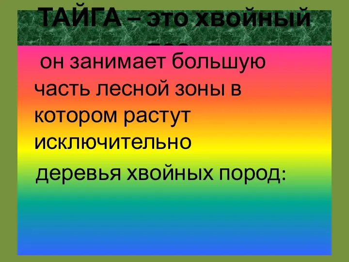 ТАЙГА – это хвойный лес - он занимает большую часть лесной