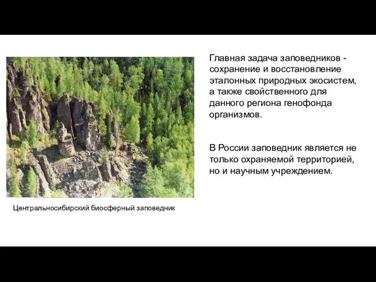 Главная задача заповедников - сохранение и восстановление эталонных природных экосистем, а