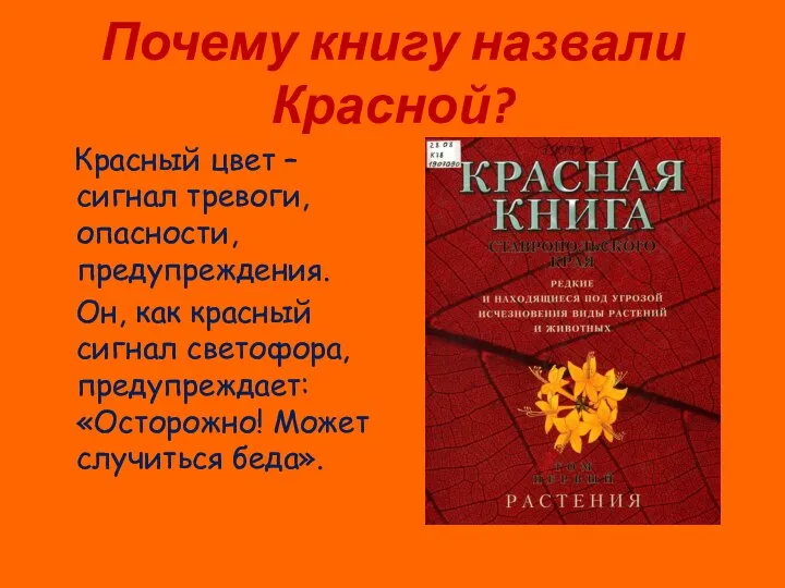 Почему книгу назвали Красной? Красный цвет – сигнал тревоги, опасности, предупреждения.