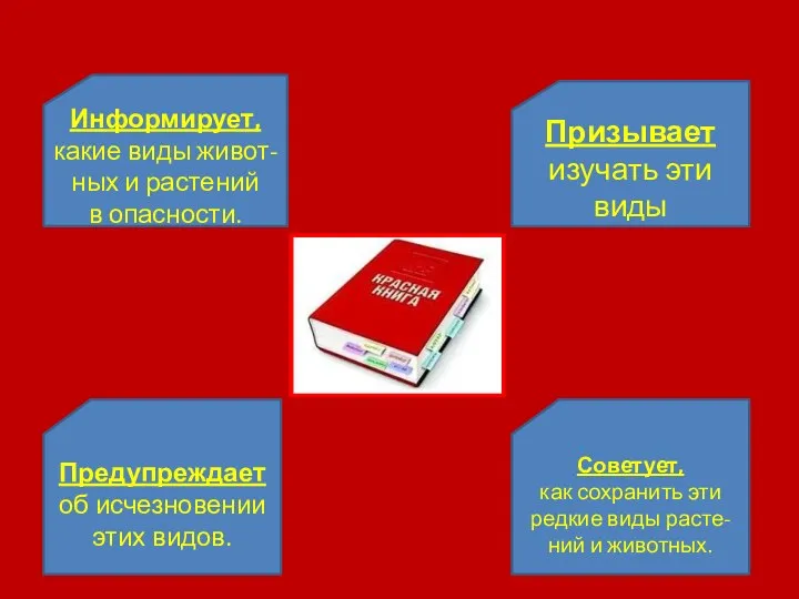 Информирует, какие виды живот- ных и растений в опасности. Призывает изучать