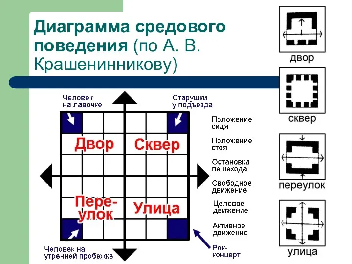 Диаграмма средового поведения (по А. В. Крашенинникову)