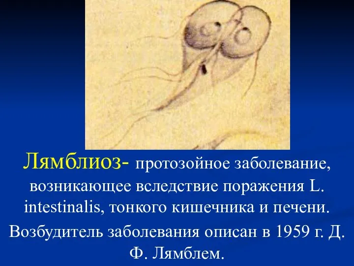 Лямблиоз- протозойное заболевание, возникающее вследствие поражения L. intestinalis, тонкого кишечника и