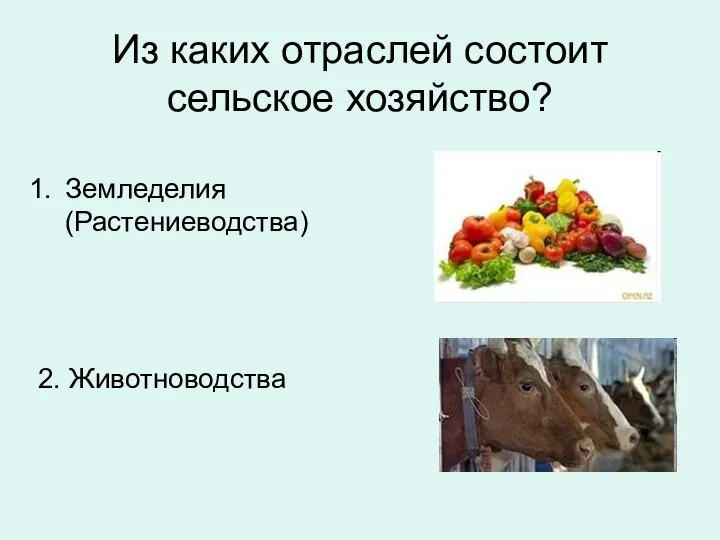 Из каких отраслей состоит сельское хозяйство? Земледелия (Растениеводства) 2. Животноводства