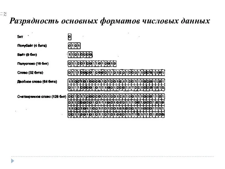 Разрядность основных форматов числовых данных