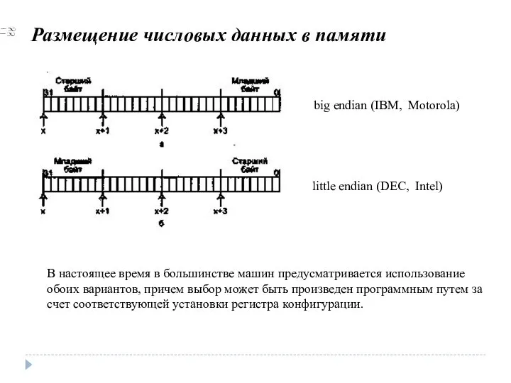 Размещение числовых данных в памяти В настоящее время в большинстве машин