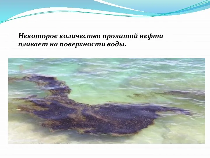 Некоторое количество пролитой нефти плавает на поверхности воды.